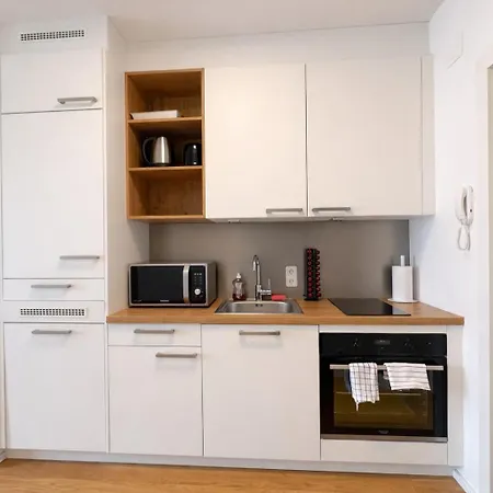 Apartamento Modern Danube - 3 Min To Hauptplatz - Netflix Linz