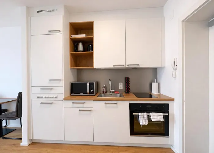 Apartamento Modern Danube - 3 Min To Hauptplatz - Netflix Linz