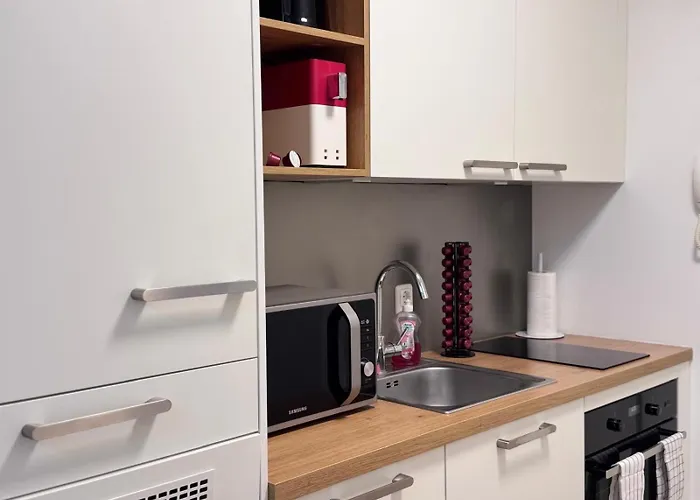 Apartamento Modern Danube - 3 Min To Hauptplatz - Netflix